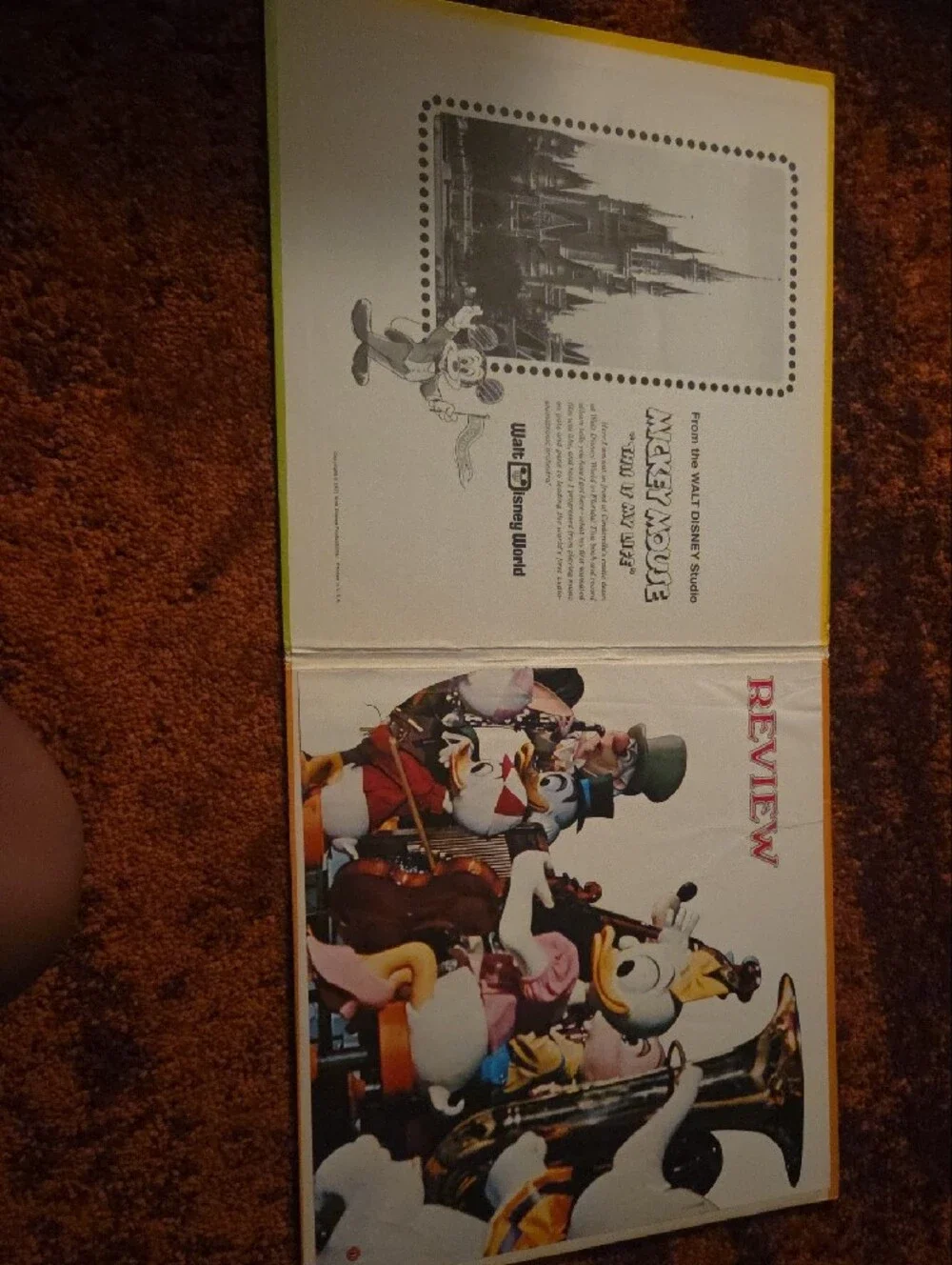 Disney Mickey Mouse 